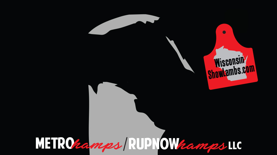 Metro Hamps/Rupnow Hamps LLC
