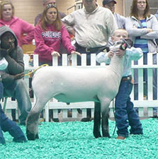 Metro Hamps Winner