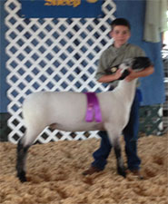 Metro Hamps Winner