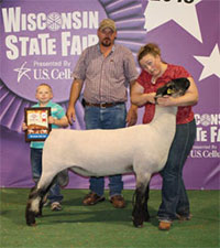 Metro Hamps Winner