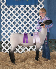 Metro Hamps Winner