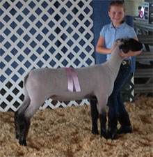 Metro Hamps Winner