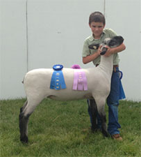 Metro Hamps Winner