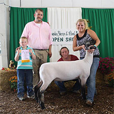 Metro Hamps Winner