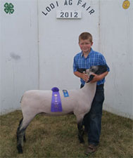 Metro Hamps Winner