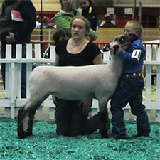Metro Hamps Winner